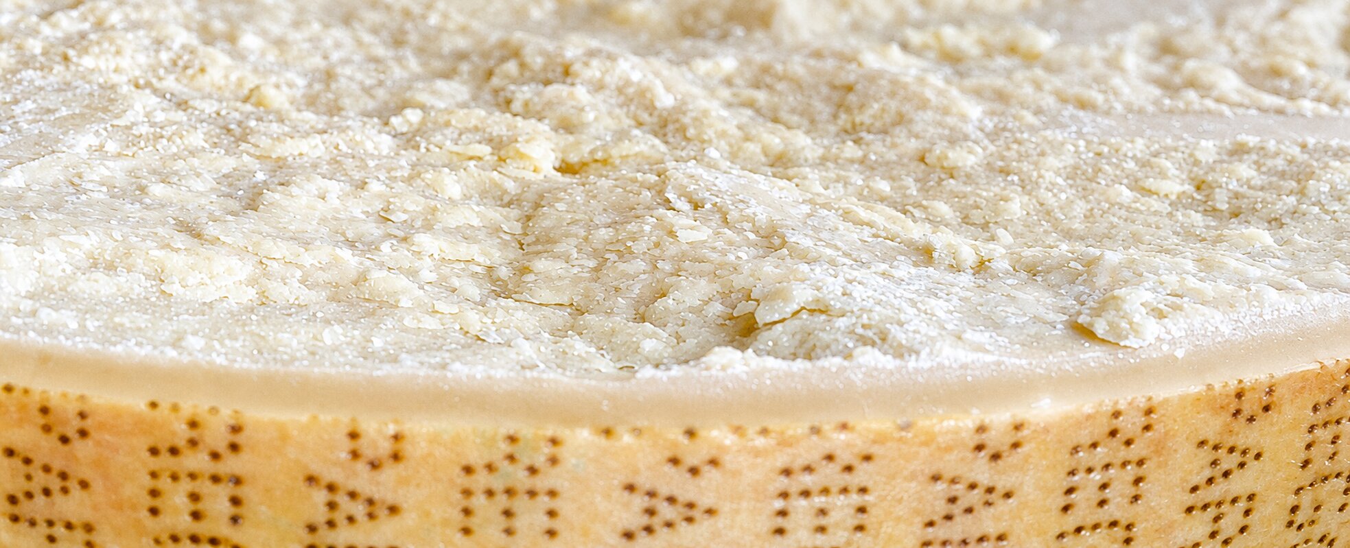 Forme e pezzi di Parmigiano Reggiano nella stagionatura Bertoni