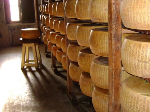 Magazzino Bertoni con le forme in stagionatura